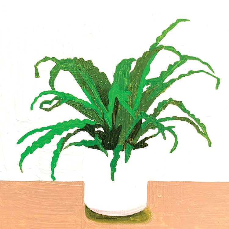 Houseplant by Tara Barr wall art