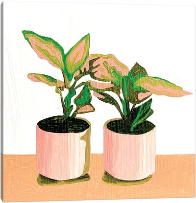 Two Houseplants Canvas Art Print - Plant Mom