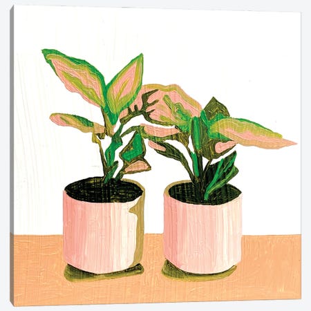 Two Houseplants Canvas Print #TRB7} by Tara Barr Canvas Art