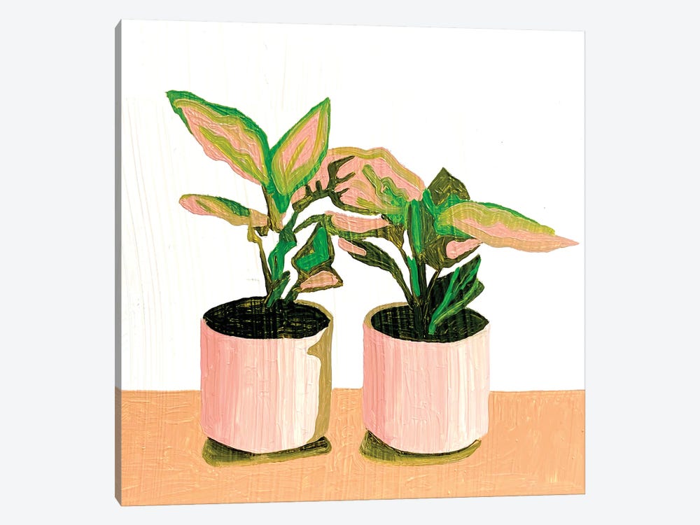 Two Houseplants by Tara Barr 1-piece Canvas Artwork