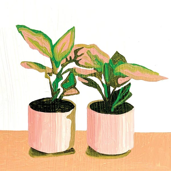 Tara Barr: Two Houseplants by Tara Barr
