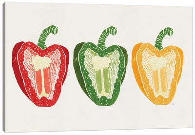 Mixed Peppers Canvas Art Print - Vegetable Art