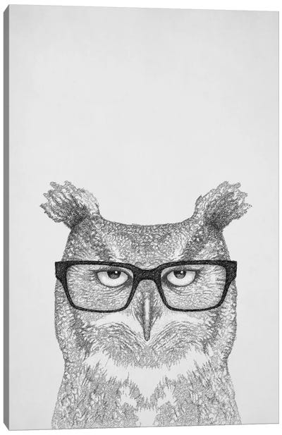 Earnest Canvas Art Print - Owl Art