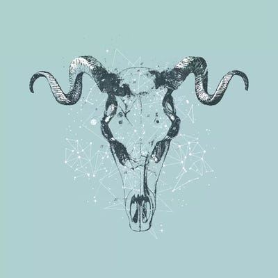 Arietis by Tracie Andrews framed canvas print