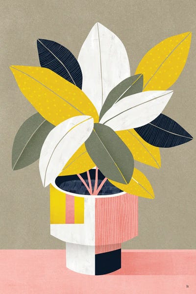 Fine Art Print: Plant In Pink Pot by Tracie Andrews