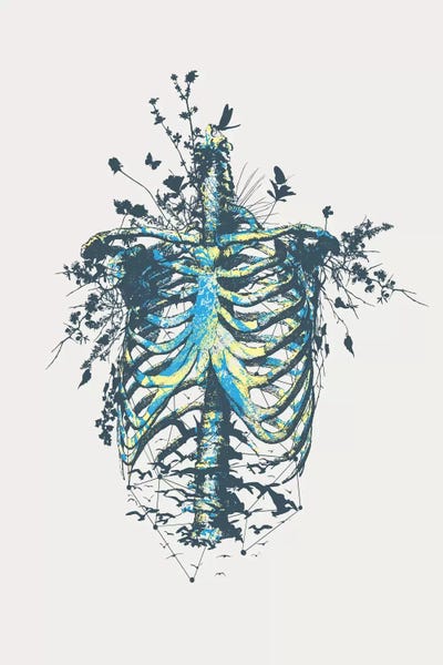 Skeletons: Keep Going by Tracie Andrews