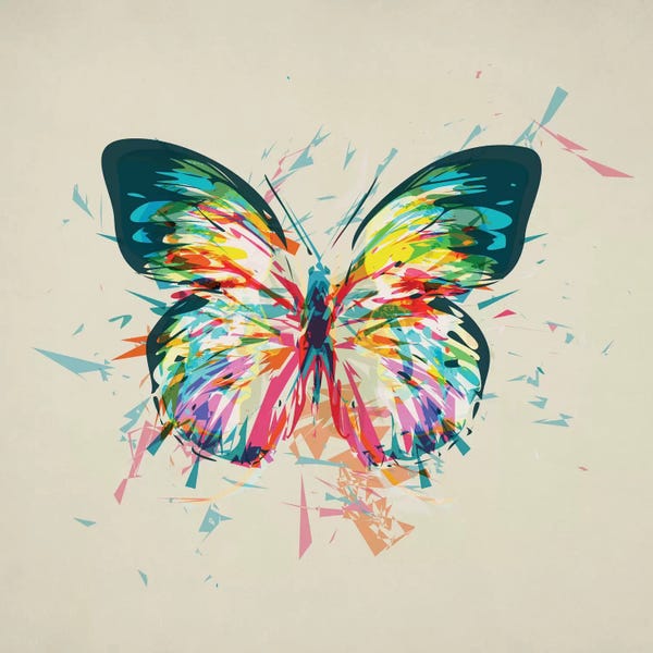 Tracie Andrews: Metamorphosis by Tracie Andrews