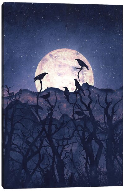 Midnight Chorus Canvas Art Print - Crow Art
