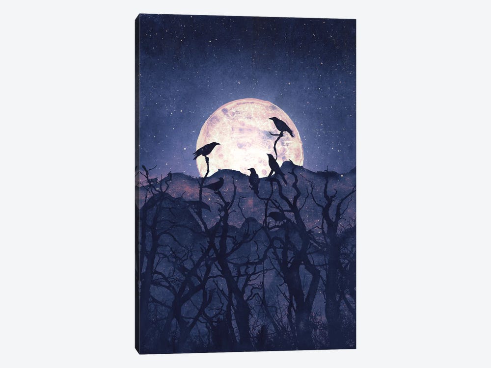 Midnight Chorus by Tracie Andrews 1-piece Canvas Wall Art