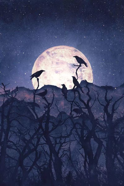Crows: Midnight Chorus by Tracie Andrews