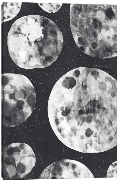Moons Canvas Art Print - Full Moon Art