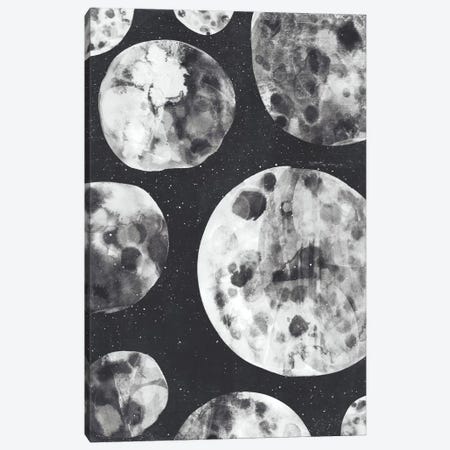 Moons Canvas Print #TRC40} by Tracie Andrews Canvas Artwork