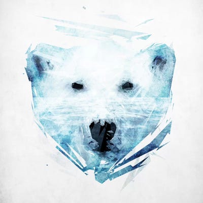 Polar Bear by Tracie Andrews framed canvas print