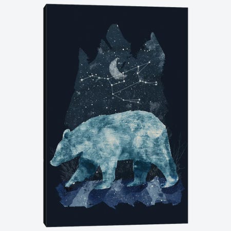 The Great Bear Canvas Print #TRC58} by Tracie Andrews Art Print