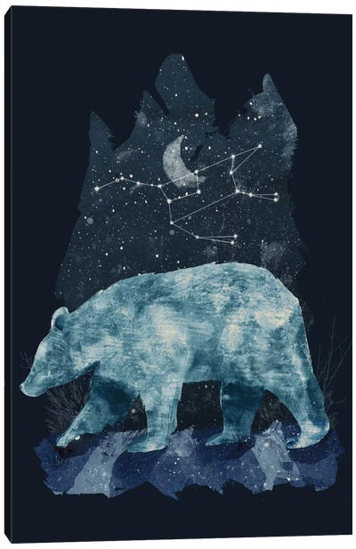 The Great Bear Canvas Art Print - Wildlife Art