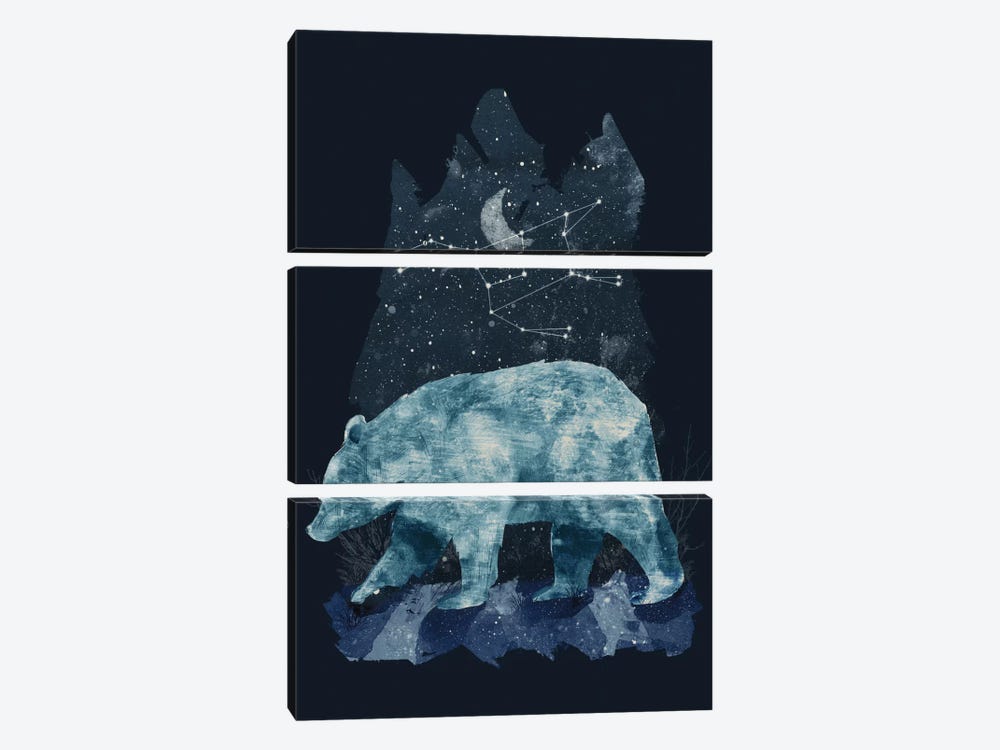 The Great Bear by Tracie Andrews 3-piece Canvas Art Print