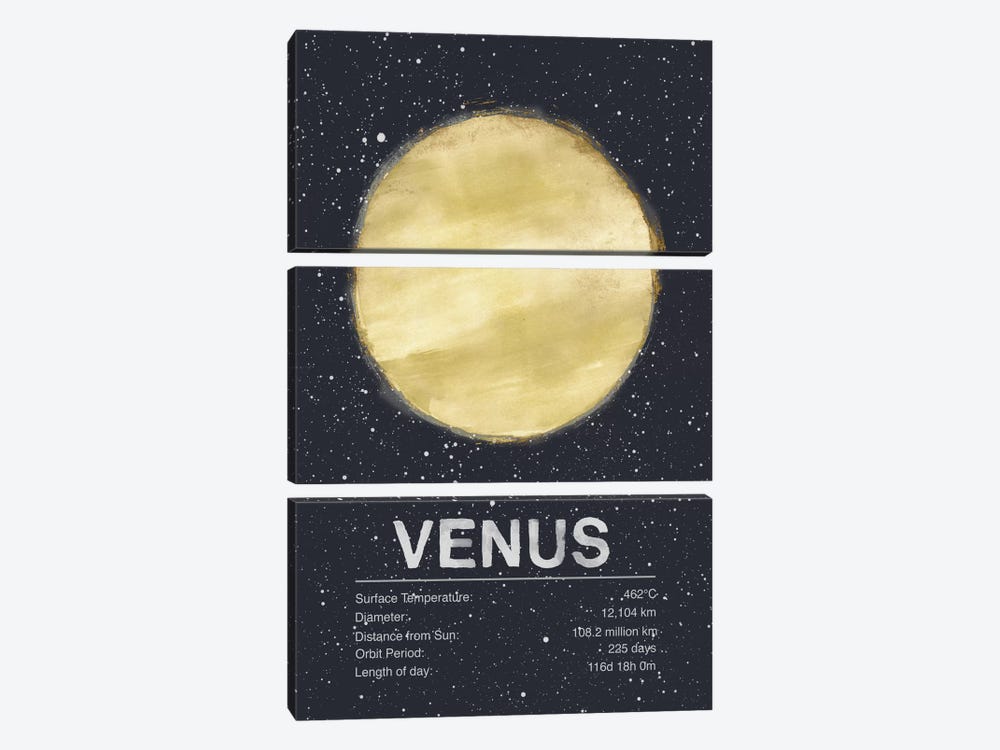 Venus by Tracie Andrews 3-piece Art Print