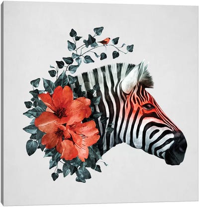 Untamed Canvas Art Print - Zebra Art