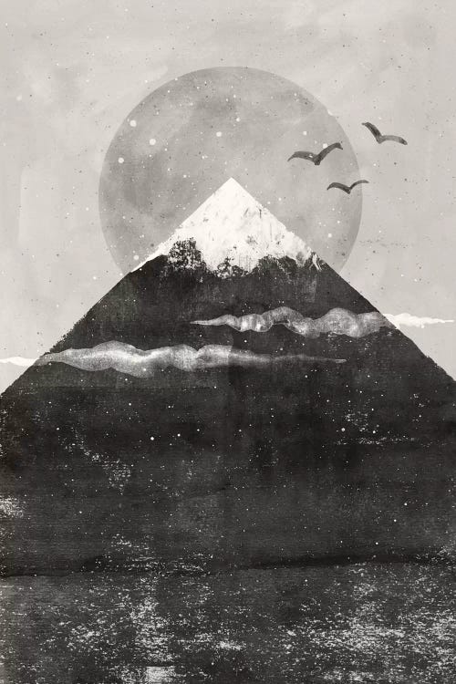 Zenith by Tracie Andrews wall art
