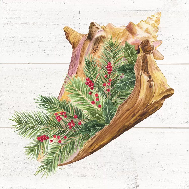 Christmas By The Sea Conch by Tara Reed wall art