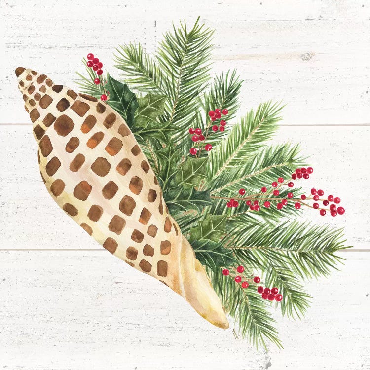 Christmas By The Sea Junonia by Tara Reed wall art