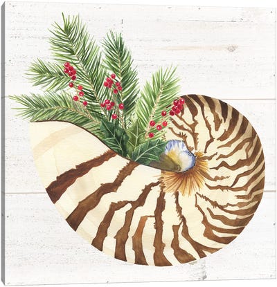 Christmas By The Sea Nautilus Canvas Art Print - Coastal Christmas Décor