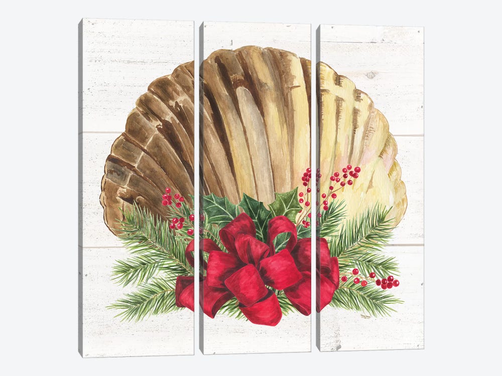 Christmas By The Sea Scallop by Tara Reed 3-piece Canvas Print