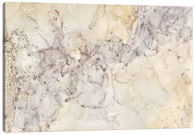 Gold & Silver Mineral Abstract Canvas Art Print