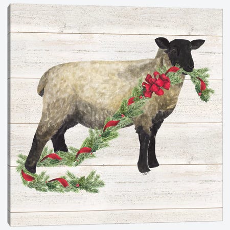 Christmas On The Farm V - Sheep Canvas Print #TRE123} by Tara Reed Art Print
