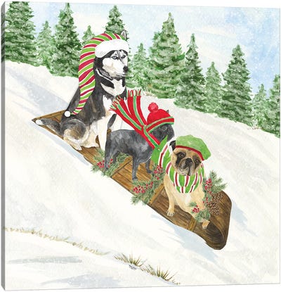 Dog Days Of Christmas III - Sledding Canvas Art Print - Christmas Animal Art
