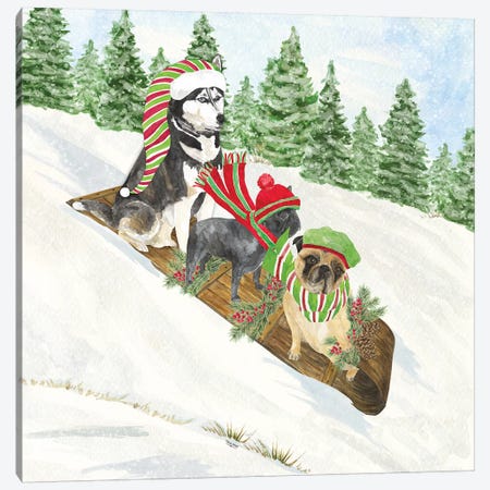 Dog Days Of Christmas III - Sledding Canvas Print #TRE131} by Tara Reed Canvas Art