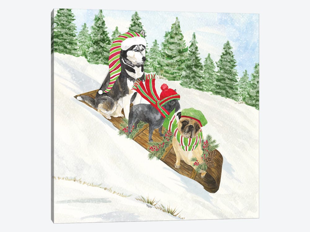 Dog Days Of Christmas III - Sledding by Tara Reed 1-piece Canvas Art Print