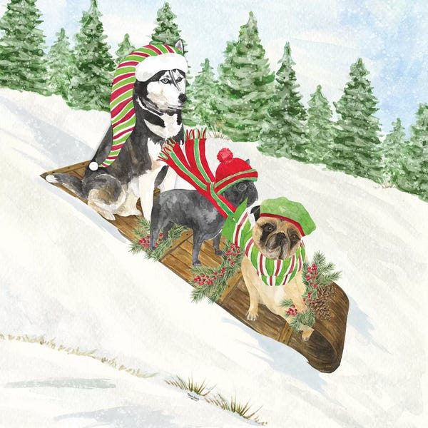 Christmas Animals: Dog Days Of Christmas III - Sledding by Tara Reed