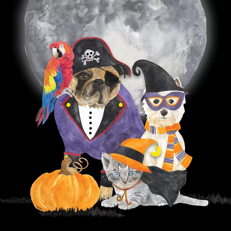 Fright Night Friends III - Pirate Pug