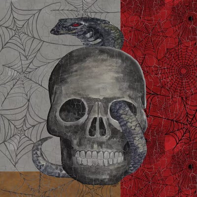 Something Wicked - Skull  by Tara Reed metal wall art