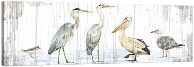 Birds of the Coast Rustic Panel Canvas Art Print - 3-Piece Panoramic Art
