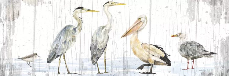 Birds of the Coast Rustic Panel by Tara Reed wall art