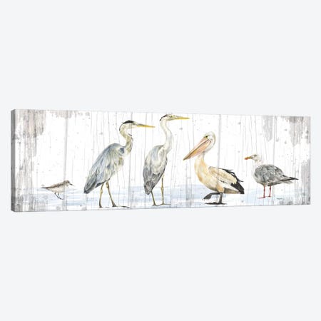 Birds of the Coast Rustic Panel Canvas Print #TRE193} by Tara Reed Canvas Artwork