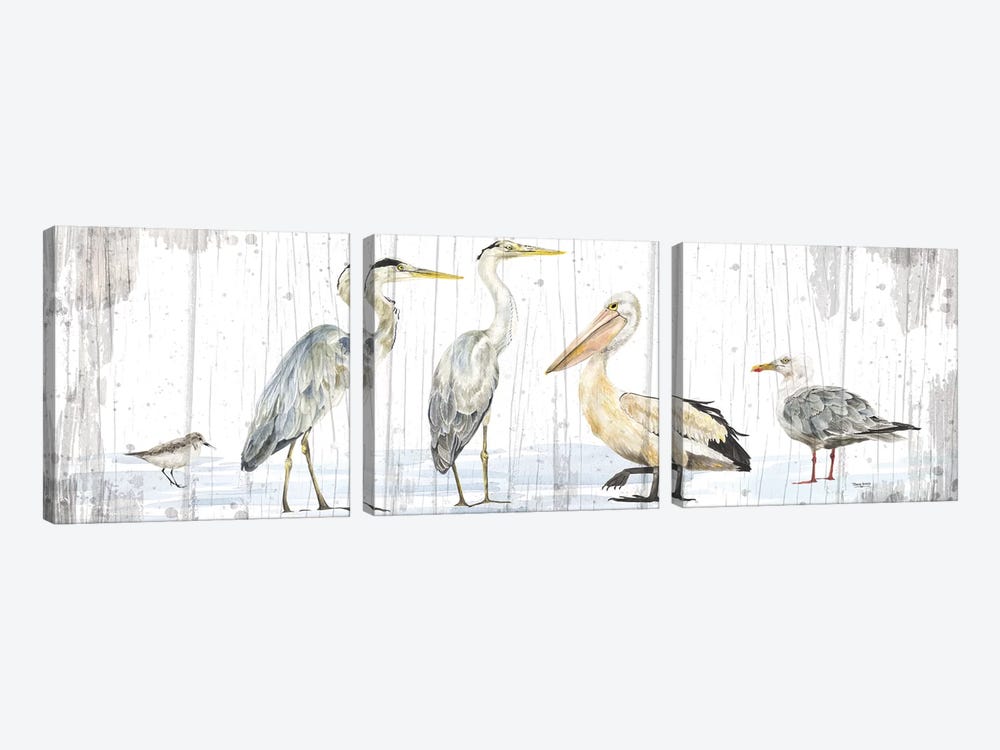Birds of the Coast Rustic Panel by Tara Reed 3-piece Art Print