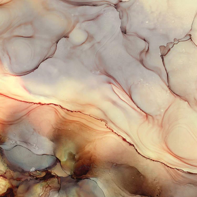 Desert Hues by Tara Reed canvas print
