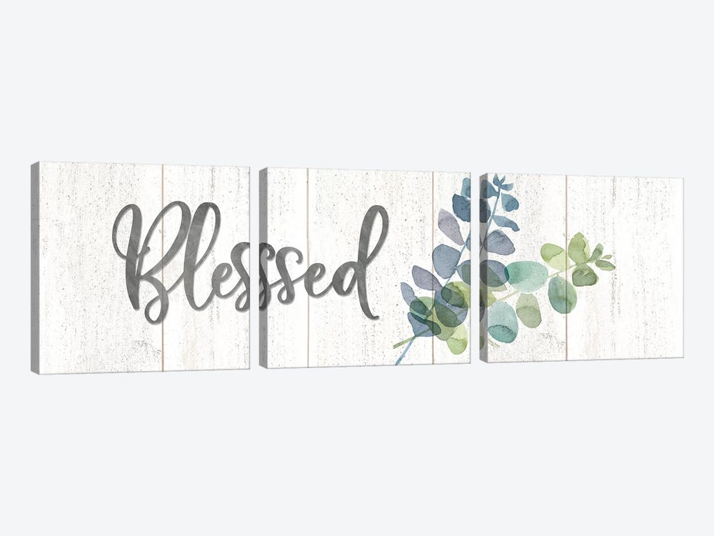 Natural Inspiration Blue Blessings sign by Tara Reed 3-piece Canvas Art Print