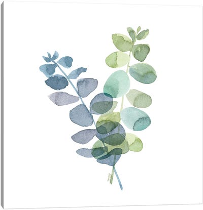 Natural Inspiration Blue Eucalyptus on White I Canvas Art Print - Minimalist Living Room