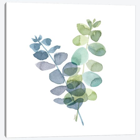 Natural Inspiration Blue Eucalyptus on White I Canvas Print #TRE234} by Tara Reed Canvas Artwork