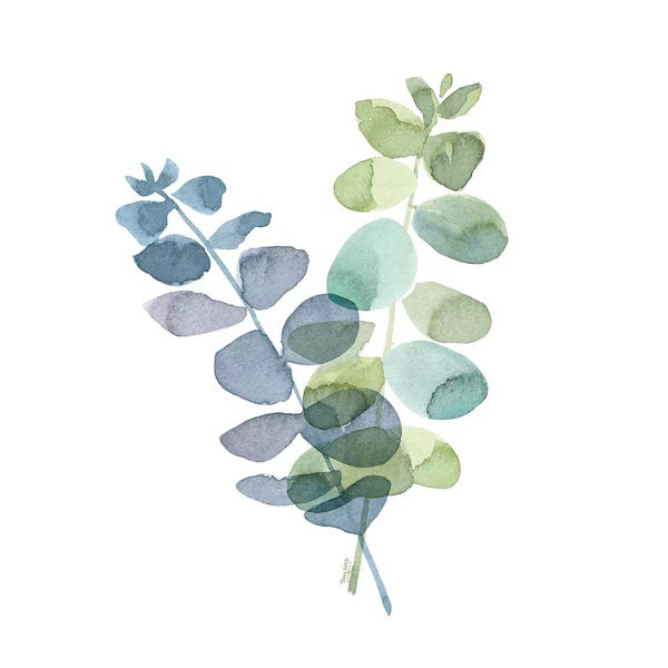 Zen Décor: Natural Inspiration Blue Eucalyptus I on White by Tara Reed
