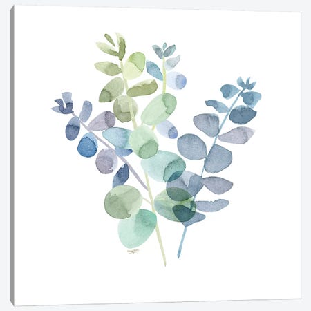 Natural Inspiration Blue Eucalyptus on White II Canvas Print #TRE235} by Tara Reed Canvas Art