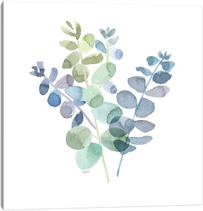 Natural Inspiration Blue Eucalyptus on White II Canvas Art Print - Leaf Art