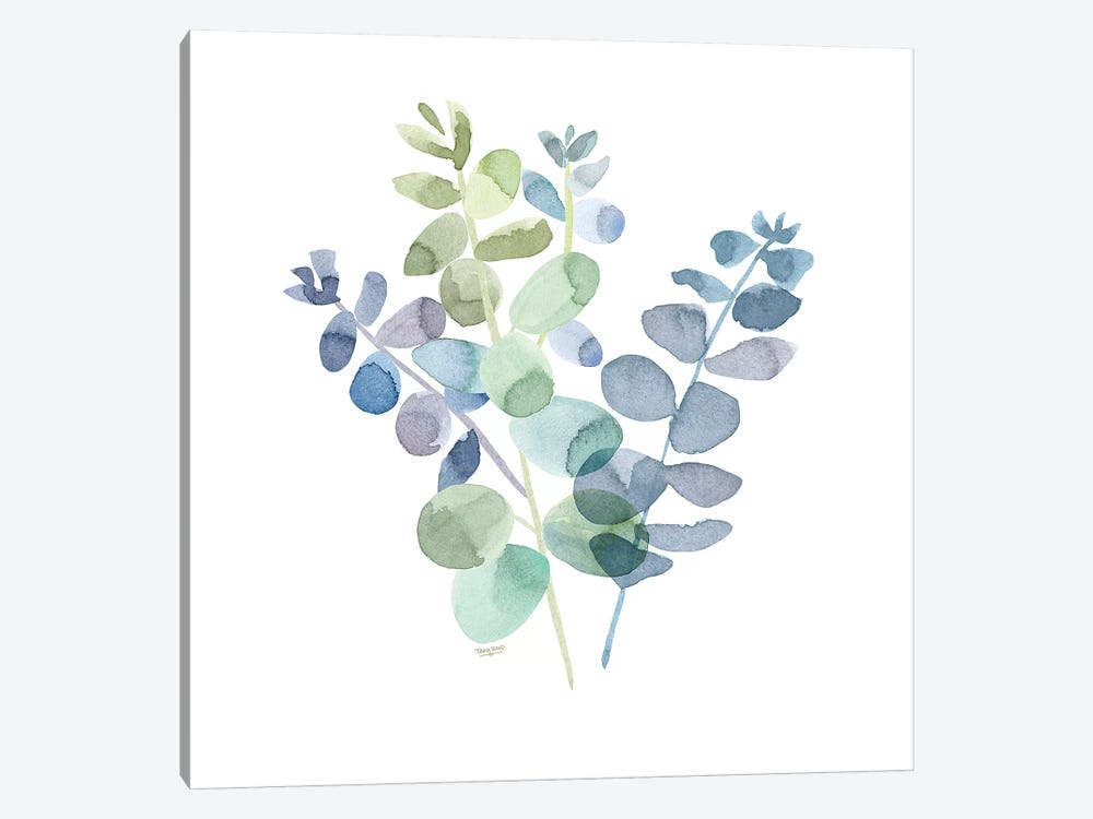 Natural Inspiration Blue Eucalyptus on White II by Tara Reed 1-piece Canvas Print