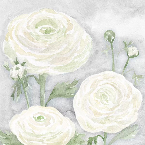 Ranunculi: Peaceful Repose Floral on Gray I by Tara Reed