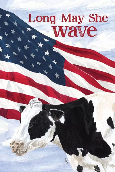 Flag II by Tara Reed framed wall art