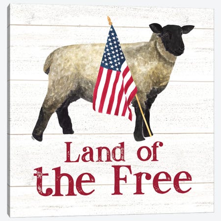 Land of the Free Square III Canvas Print #TRE258} by Tara Reed Canvas Print